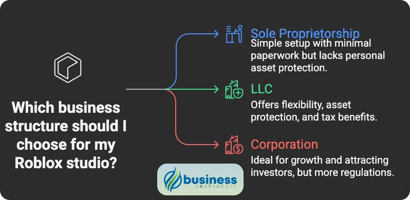Roblox development company business structure options including LLC formation and roblox for business setup