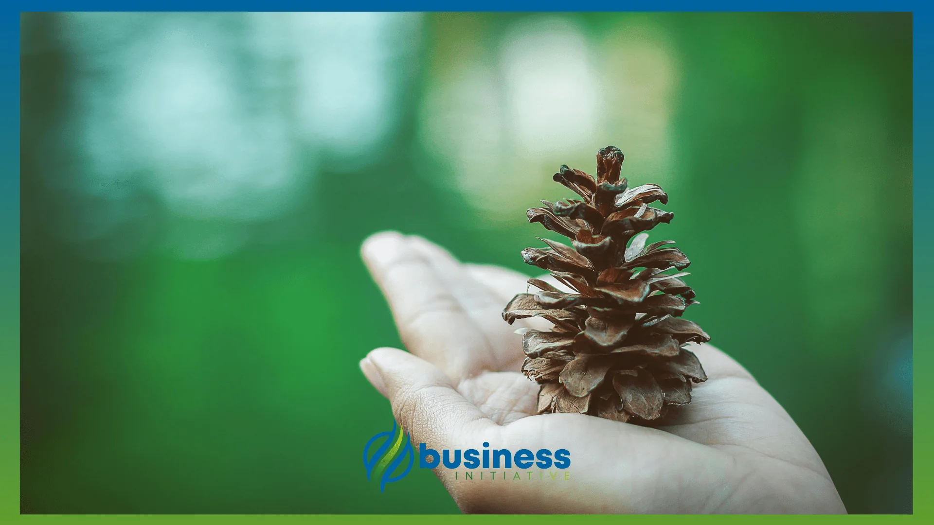 environmental due diligence checklist
