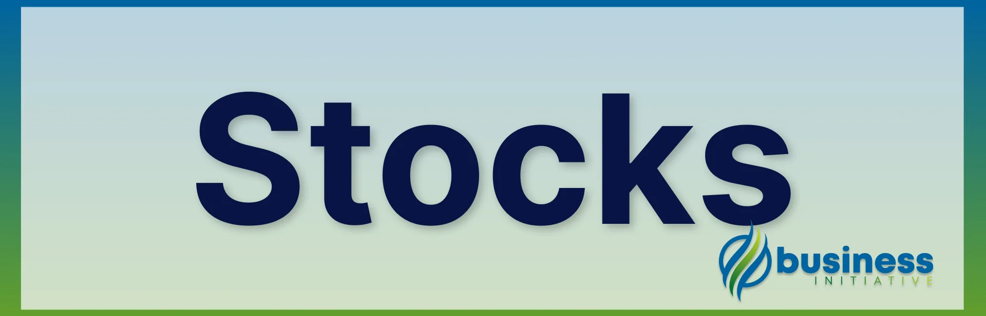 What are the different kinds of stock in business? stockholder and shareholder difference