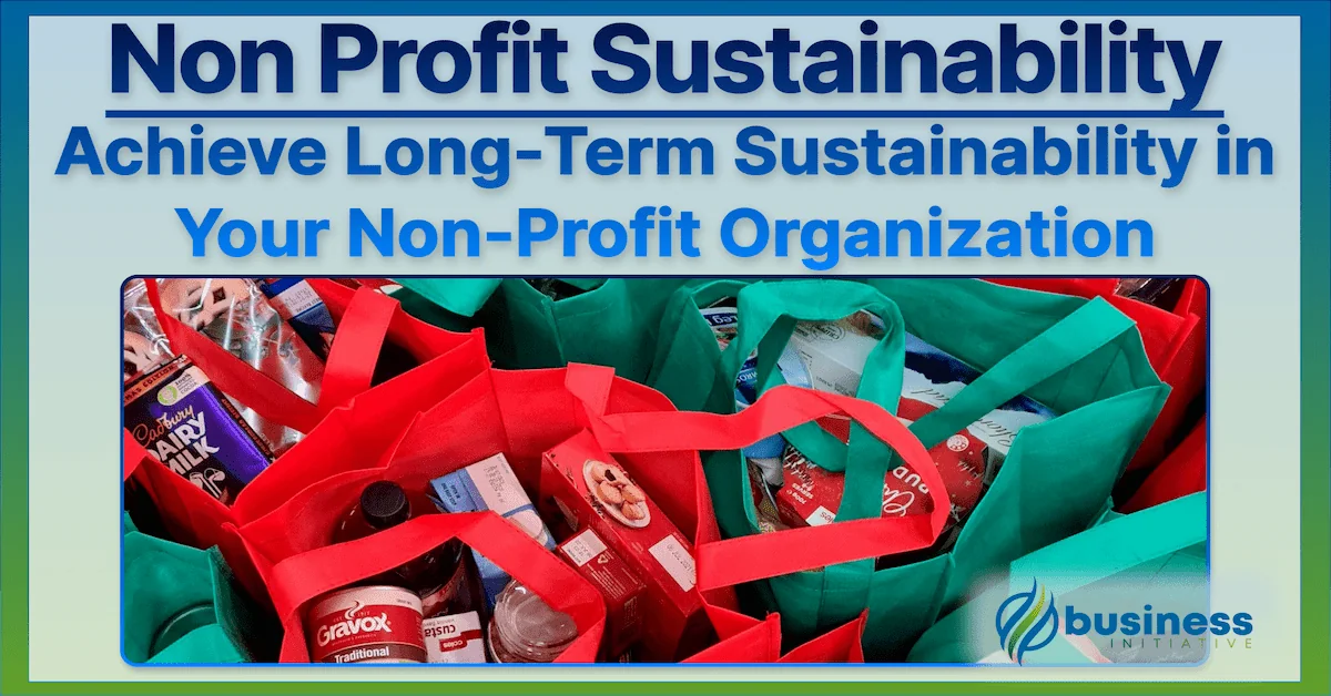 How to Make a Non-Profit Sustainable | Long-Term Financial Sustainability in Non-Profit Organizations